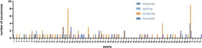 Clinical and genetic characteristics of Chinese Duchenne/Becker muscular dystrophy patients with small mutations